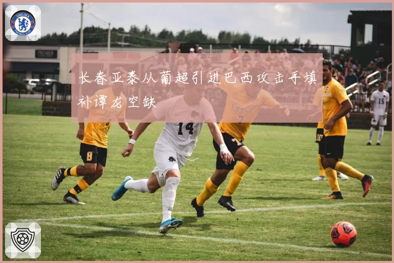 长春亚泰从葡超引进巴西攻击手填补谭龙空缺