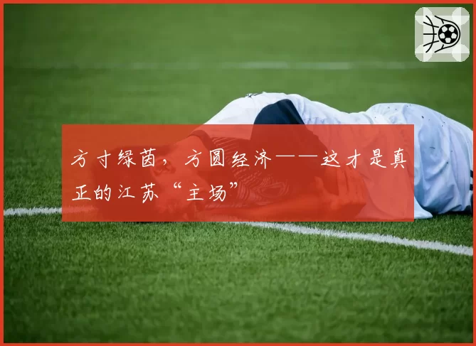 方寸绿茵，方圆经济——这才是真正的江苏“主场”