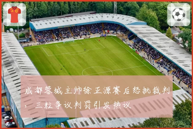 成都蓉城主帅徐正源赛后怒批裁判，三粒争议判罚引发热议